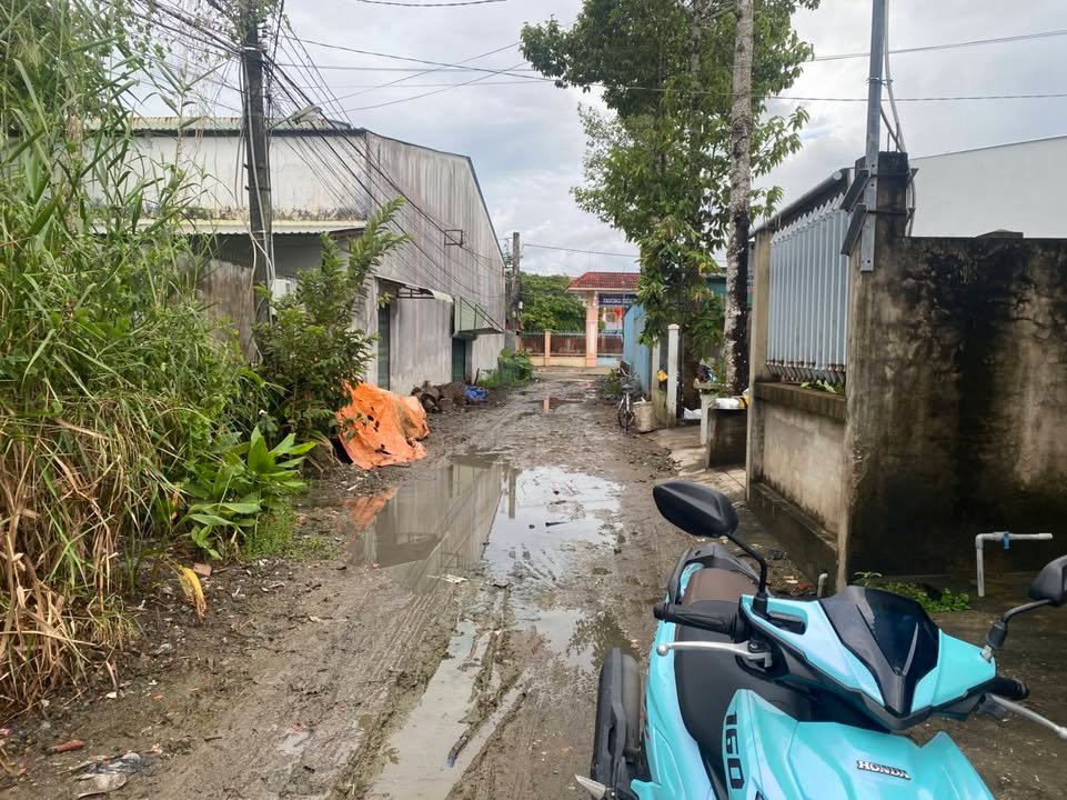 Bán gấp nhà cấp 4 hẻm ô tô 233 Nam Kỳ Khởi Nghĩa, 80m² chỉ 1 tỷ - Tiềm năng kinh doanh lớn!