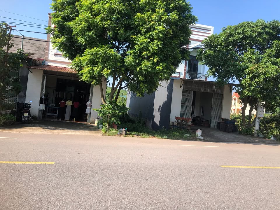 Đất thổ cư 100m² Tỉnh lộ 273 Lục Ngạn giá 1.4 tỷ - Cơ hội đầu tư hấp dẫn!