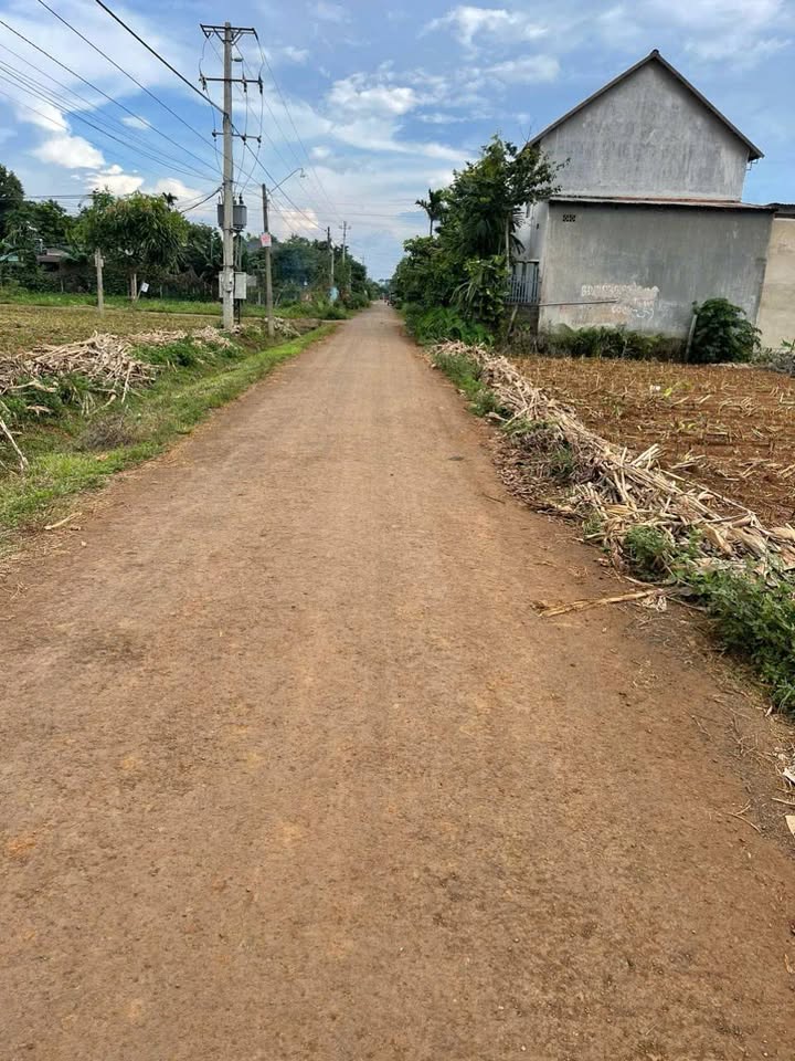 Đất nền Cư M'gar Đắk Lắk 170m² chỉ 750 triệu - Đường nhựa đẹp, vị trí đắc địa!