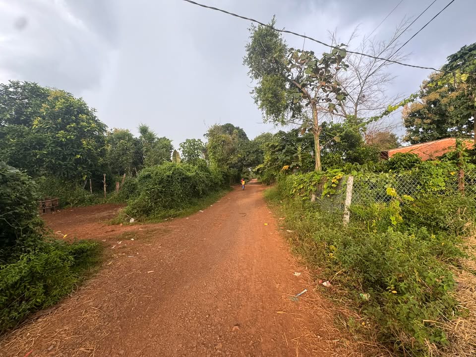 Đất nền Cư M'gar Đắk Lắk 540m² - Giá thỏa thuận hấp dẫn!