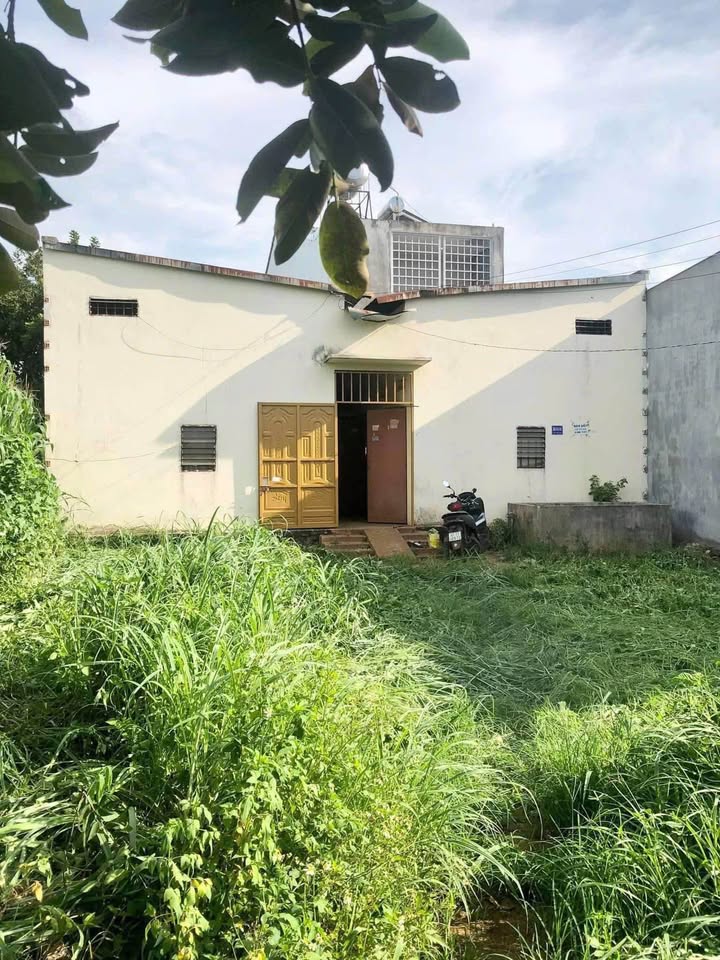 Đất hẻm 53 Trần Quý Cáp, Tự An 150m² giá 2.88 tỷ - Đất thổ cư 100% tiện định cư