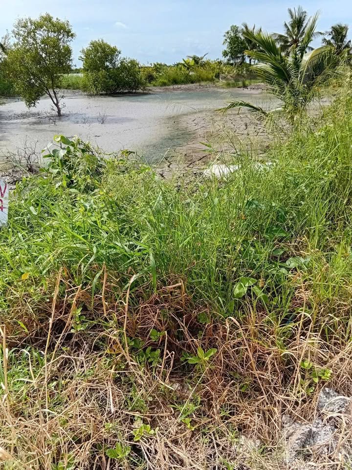 Đất nền 5300m² xã Nam Thái, huyện An Biên, giá 8.525 tỷ - Cơ hội đầu tư sinh lời!