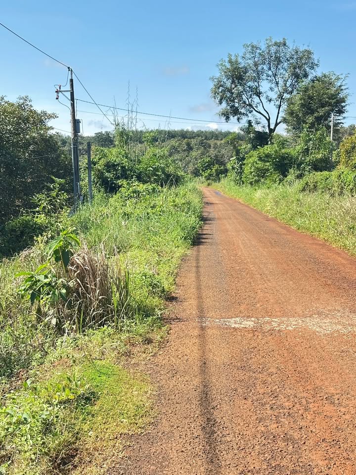 Đất Farm Phước Sơn - 80.000m² giá 1.1 tỷ - Cơ hội đầu tư hấp dẫn!