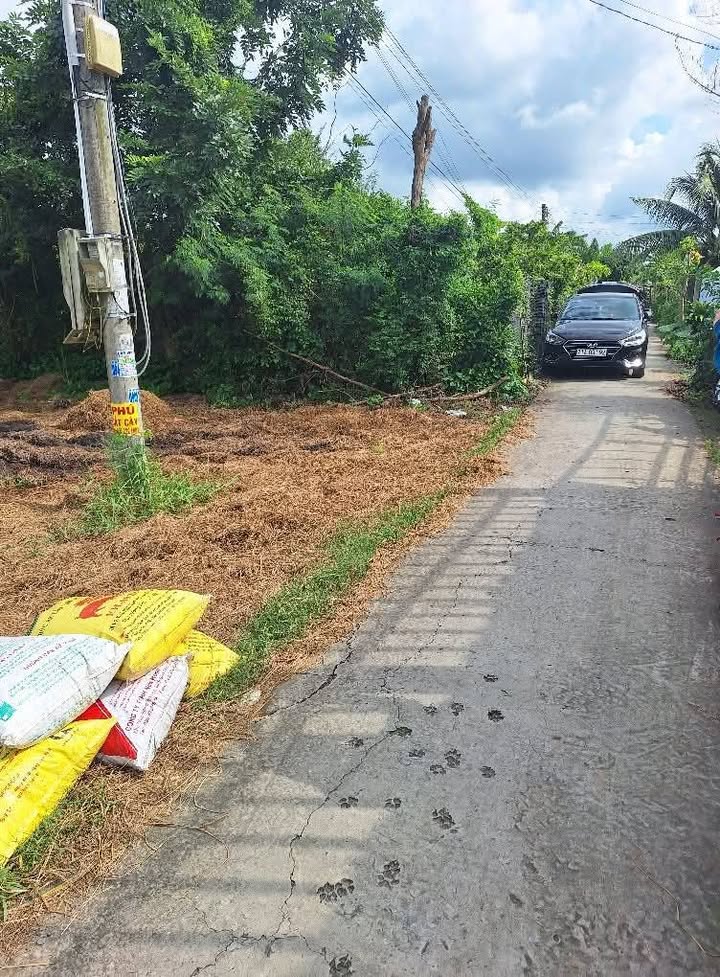 Đất nền An Ngãi Trung, Ba Tri 550m² giá 750 triệu - Cơ hội đầu tư tuyệt vời!