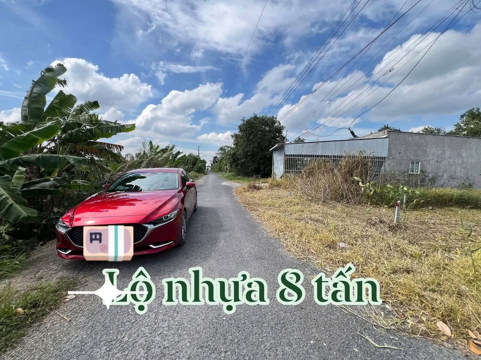 Đất nền xã Tân Quới, huyện Bình Tân, Vĩnh Long 260m² - Đầu tư sinh lời, mặt tiền lộ nhựa!