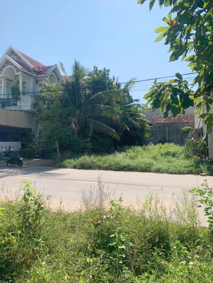 Đất nền xã Bình Nghi, huyện Tây Sơn 125m² - Vị trí đắc địa gần trường học và chợ