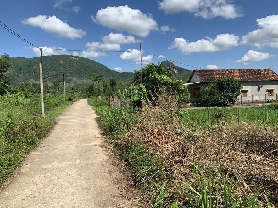 Đất thổ cư 1000m² xã Nhơn Tân, Bình Định - Giá chỉ 700 triệu, cơ hội đầu tư tuyệt vời!