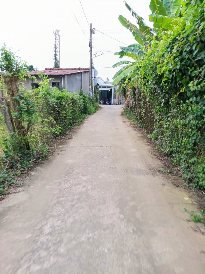 Đất nền Tân Bình Vĩnh Cửu 105m² giá 850 triệu - Đầu tư sinh lời ngay!