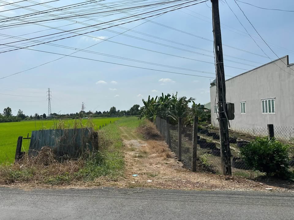 Đất nền chính chủ 11.500m² tại xã An Vĩnh Ngãi, Tân An - Đầu tư sinh lời cao!