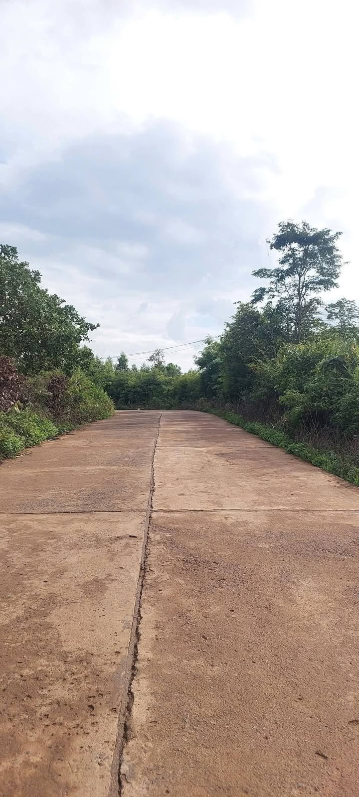 Lô đất Farm đường Tỉnh lộ 10B, Tuy Đức, Đăk Nông 17ha - Giá chỉ 2.04 tỷ VND