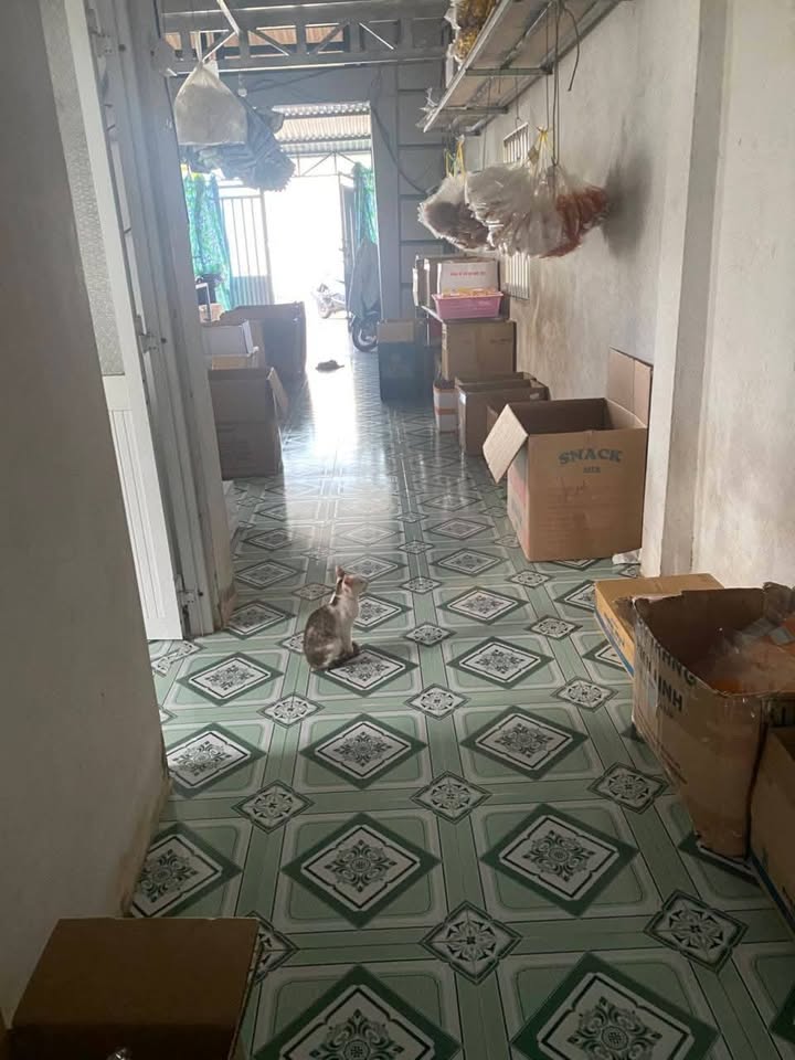 Đất thổ cư 50m² hẻm 233 Nam Kỳ Khởi Nghĩa Sóc Trăng giá 1.4 tỷ - Bán gấp chính chủ!