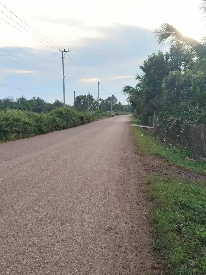 Đất nền 528m² mặt đường tỉnh lộ 26, Krông Năng chỉ 2.64 tỷ - Cơ hội đầu tư hiếm có!