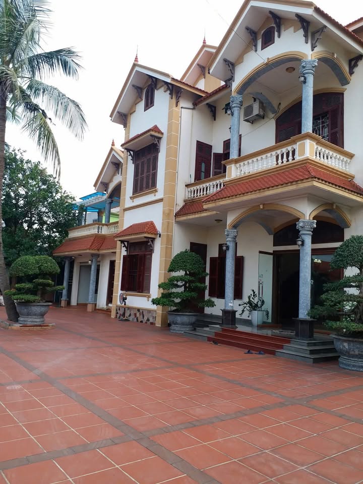 Đất Farm tại Giếng Đáy, Hạ Long 1566m² giá 10 tỷ - Biệt thự sân vườn tuyệt đẹp!