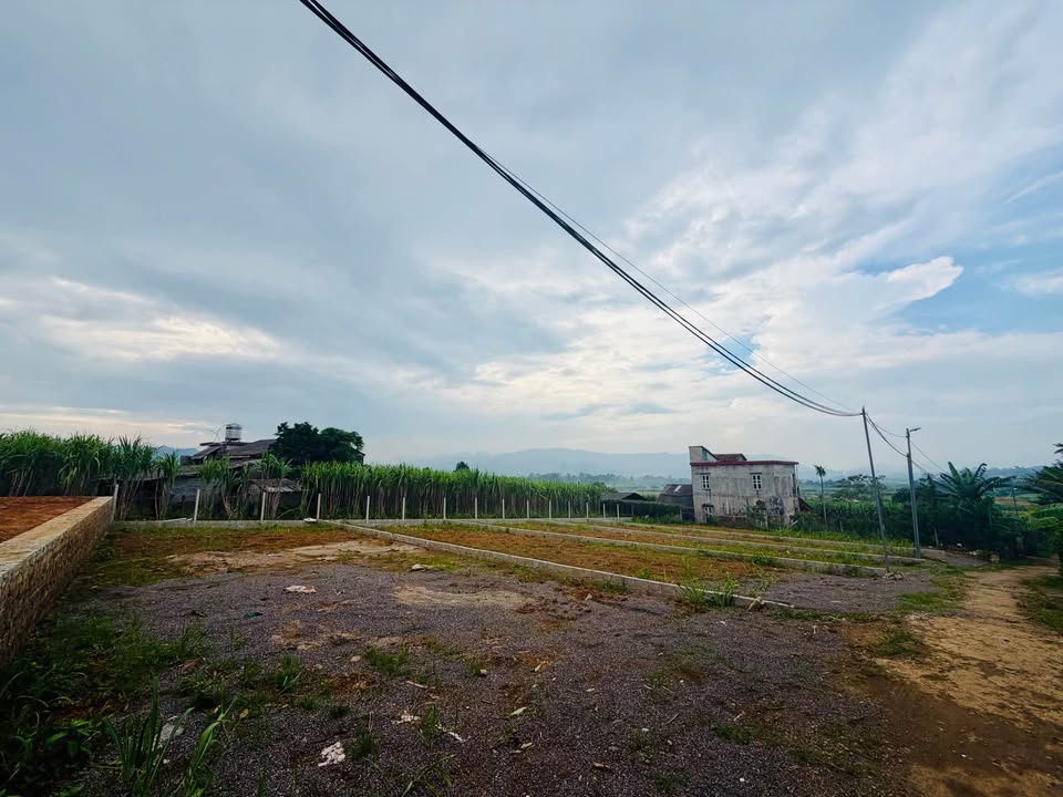 Đất thổ cư Dũng Phong 250m² - Giá tốt, gần khu công nghiệp