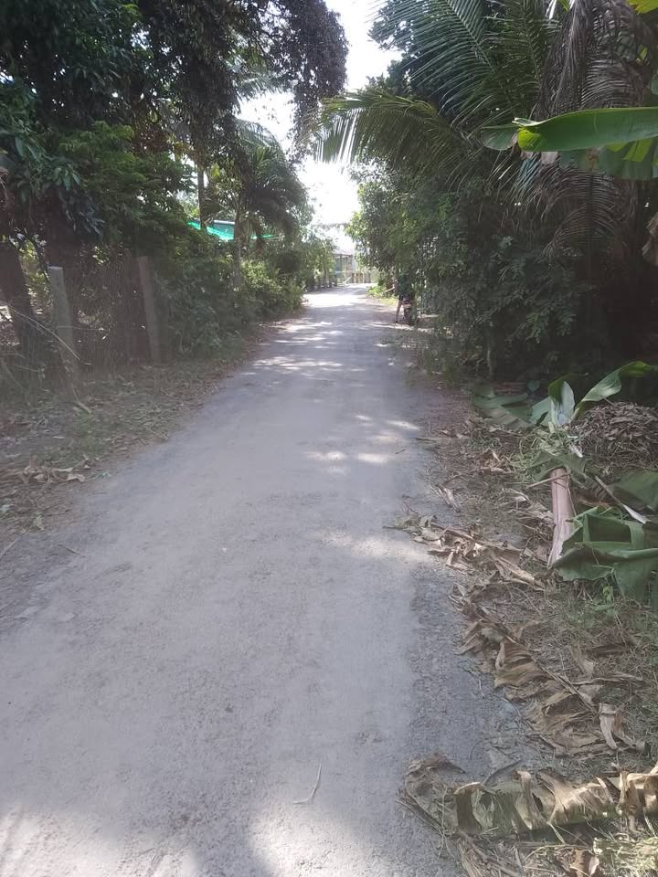 Đất thổ cư 1300m² tại Kênh Tám Huệ, Thoại Sơn, giá chỉ 1.6 tỷ - Chính chủ bán gấp!