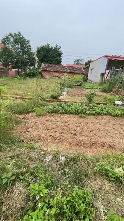 Đất nền Cao Minh, Phúc Yên 80m² giá 1.1 tỷ - Sổ đỏ chính chủ, ô tô vào tận đất!