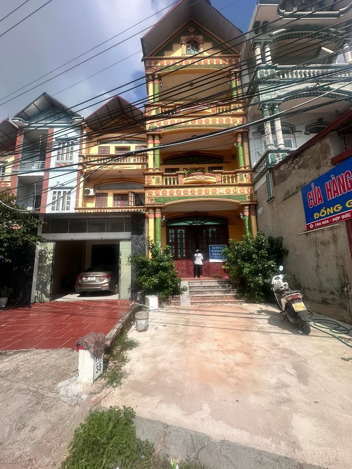 Đất mặt tiền TL295, Hợp Đức, Tân Yên, Bắc Giang 130m² - Kinh doanh sầm uất, chính chủ bán gấp!