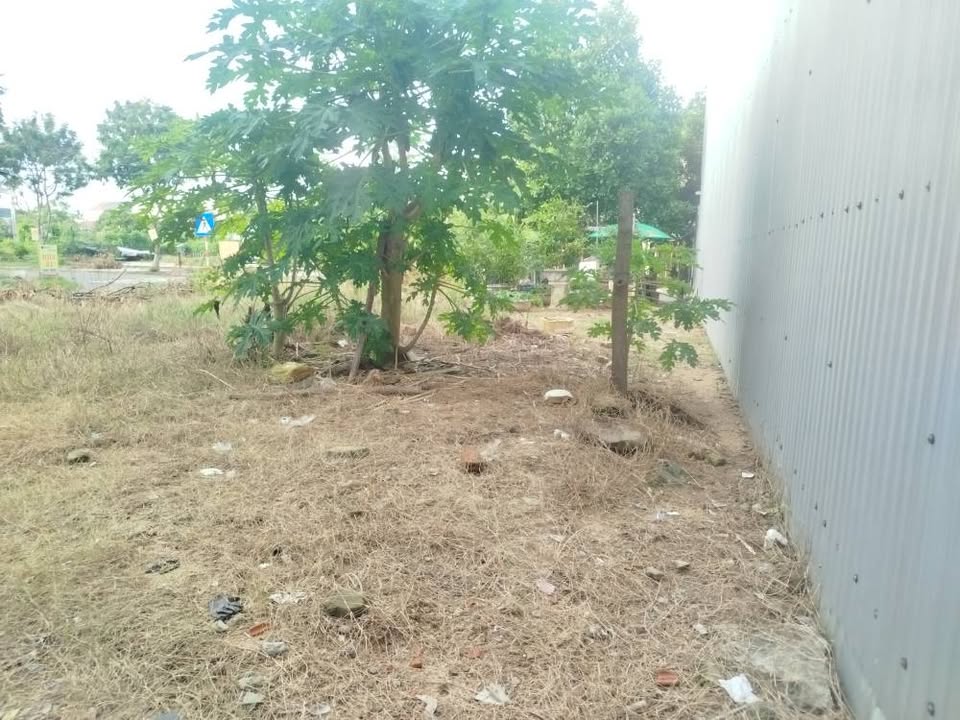 Bán lô đất đường Đinh Gia Trinh, phường Hòa Xuân, 100m² - Giá tốt, nhanh tay sở hữu!