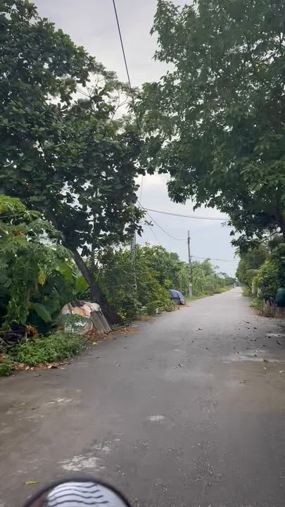 Đất nền Bình Thành, Bình Mỹ 126m² sổ đỏ - View hồ thoáng mát!