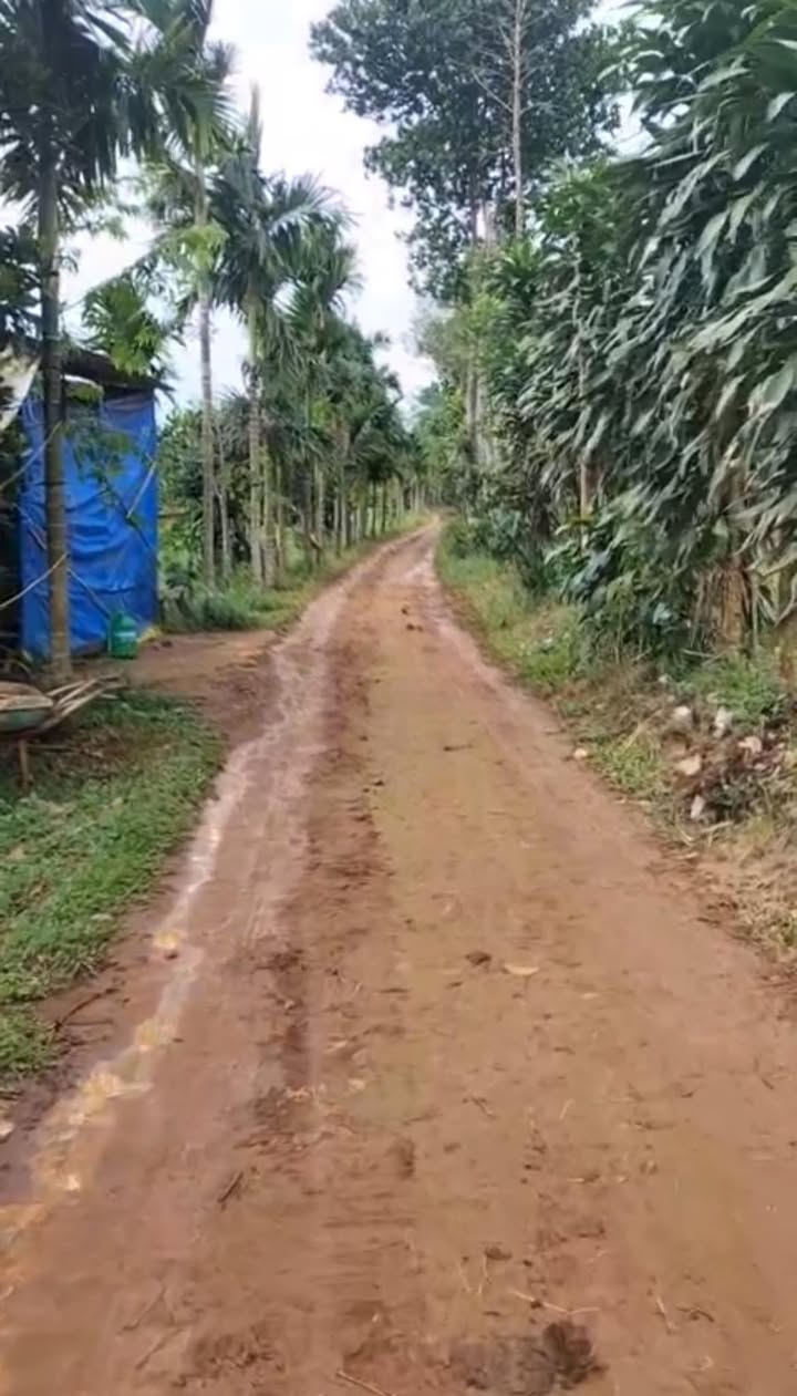 Đất nền Nhân Đạo, Đắk R'Lấp 360m² giá 220 triệu - Sổ đỏ, chính chủ bán gấp!