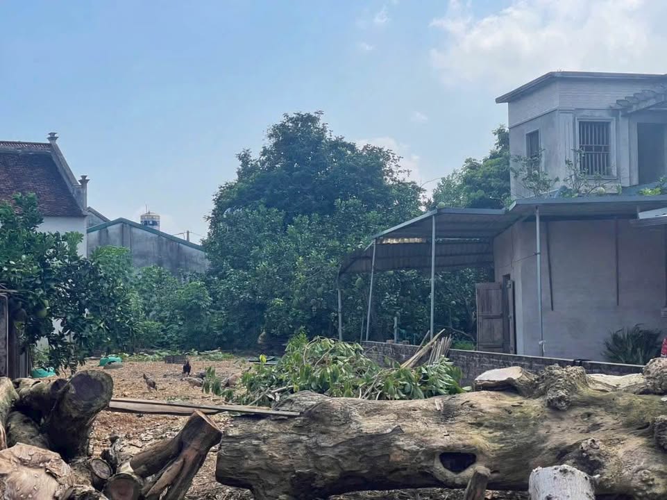 Đất thổ cư 212m² tại thôn 5, Phú Cát - Vị trí đẹp, không dính quy hoạch