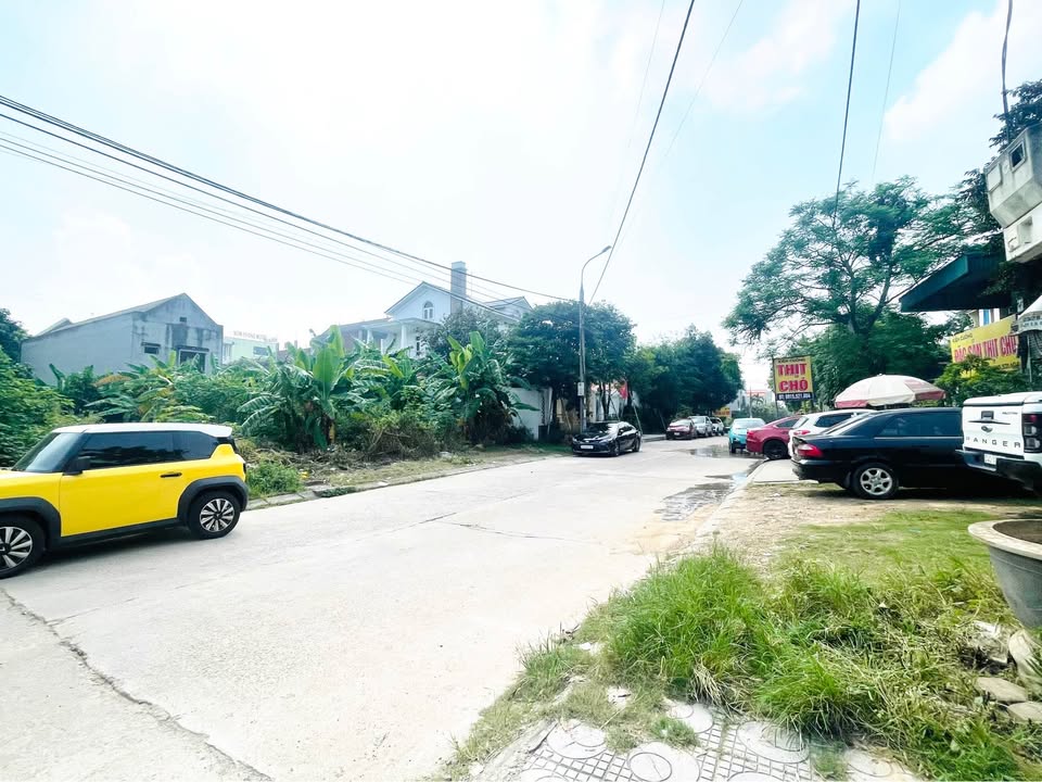 Đất nền 100m² đường Nguyễn Du, phường Việt Trì - Kinh doanh đắc địa!