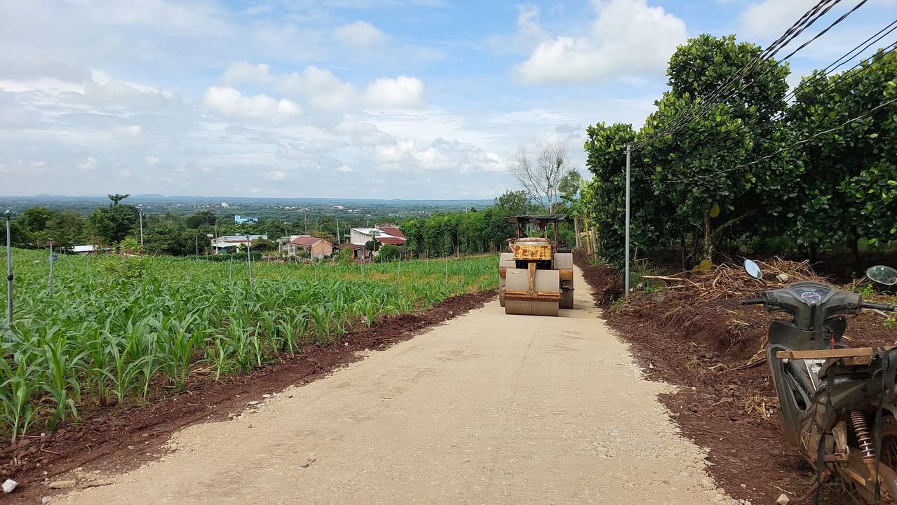 Đất nền Xuân Đông, Cẩm Mỹ, Đồng Nai 1482m² chỉ 1 tỷ - Cơ hội đầu tư hấp dẫn!