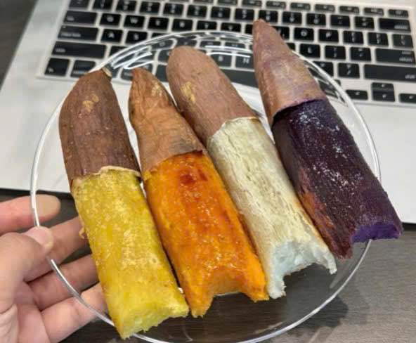 Đất nền liền kề Hòa Khánh Đông 215m² giá 990 triệu - Cơ hội đầu tư hấp dẫn!