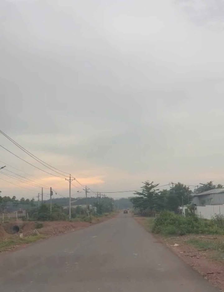 Đất nền Tân Lợi Đồng Phú 4100m² - Giá thỏa thuận hấp dẫn!