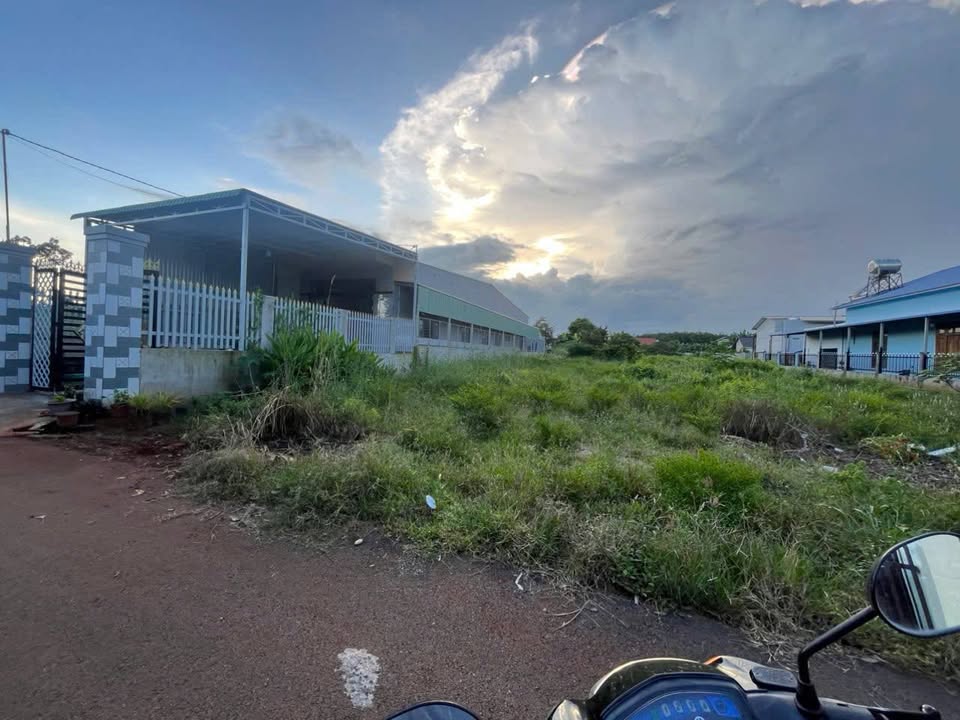 Đất thổ cư Bưng Riềng, Xuyên Mộc 393.78m² giá 2 tỷ - Cách chợ chỉ 500m!