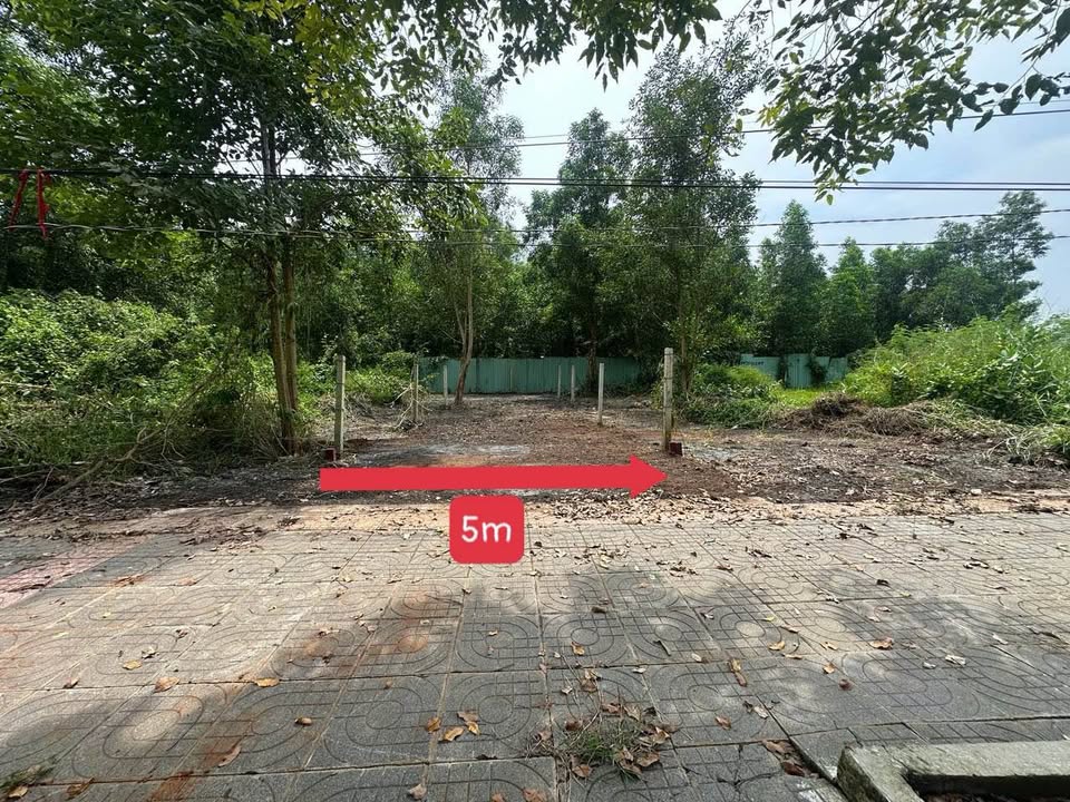 Đất nền mặt tiền Tỉnh Lộ 52, xã Đất Đỏ, 100m² giá 2.2 tỷ - Pháp lý rõ ràng, sẵn sàng sang tên!