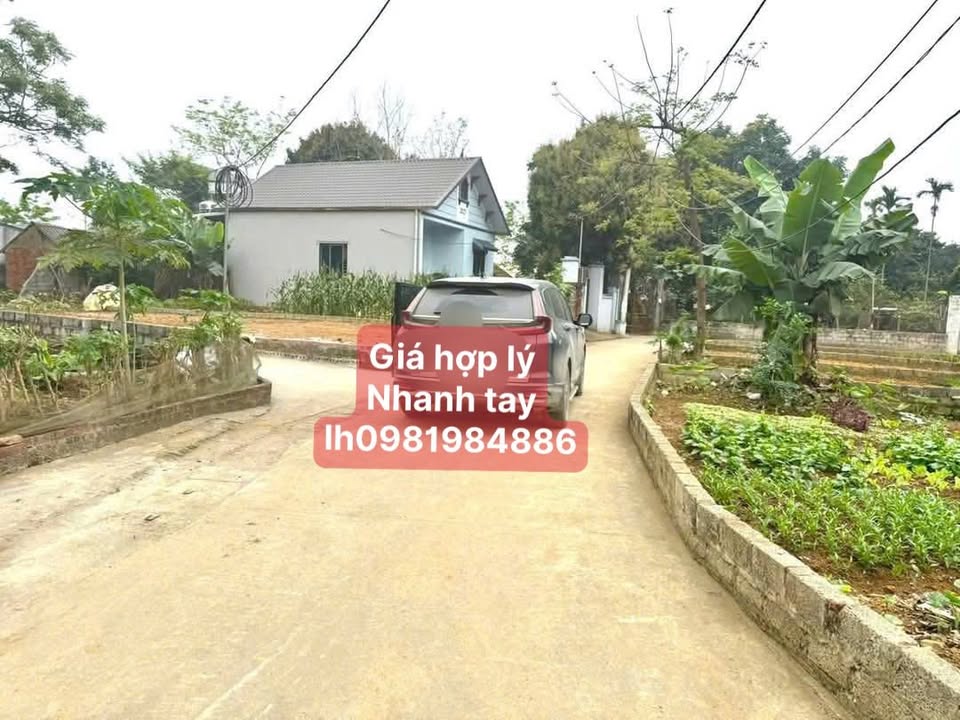 Lô đất đẹp 325m² tại thôn Bạch Thạch, Quốc Oai - Giá thỏa thuận, cơ hội đầu tư hấp dẫn!