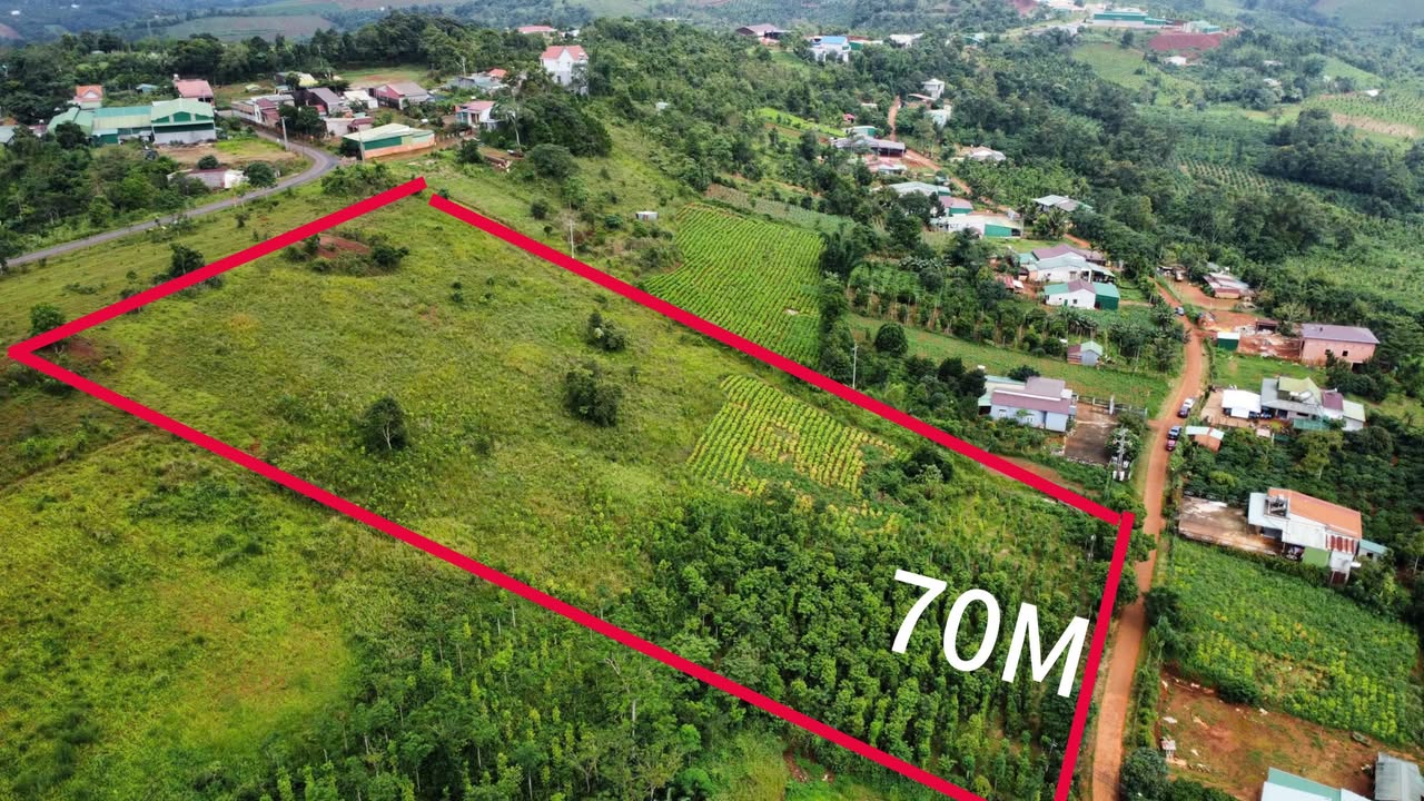 Bán đất Đắk Buk So Tuy Đức 10.000m² - Giá 2.2 tỷ, Sổ đỏ chính chủ!