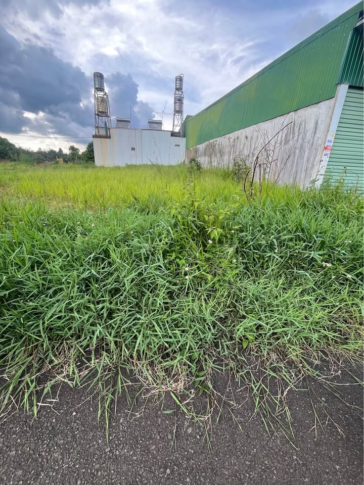 Đất nền Lộc Sơn Bảo Lộc 110m² giá 1.15 tỷ - Đầu tư sinh lời cao!