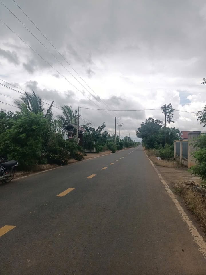 Bán đất mặt tiền đường DH1, xã Tân Hội, 250m² - Đầu tư sinh lời cao!