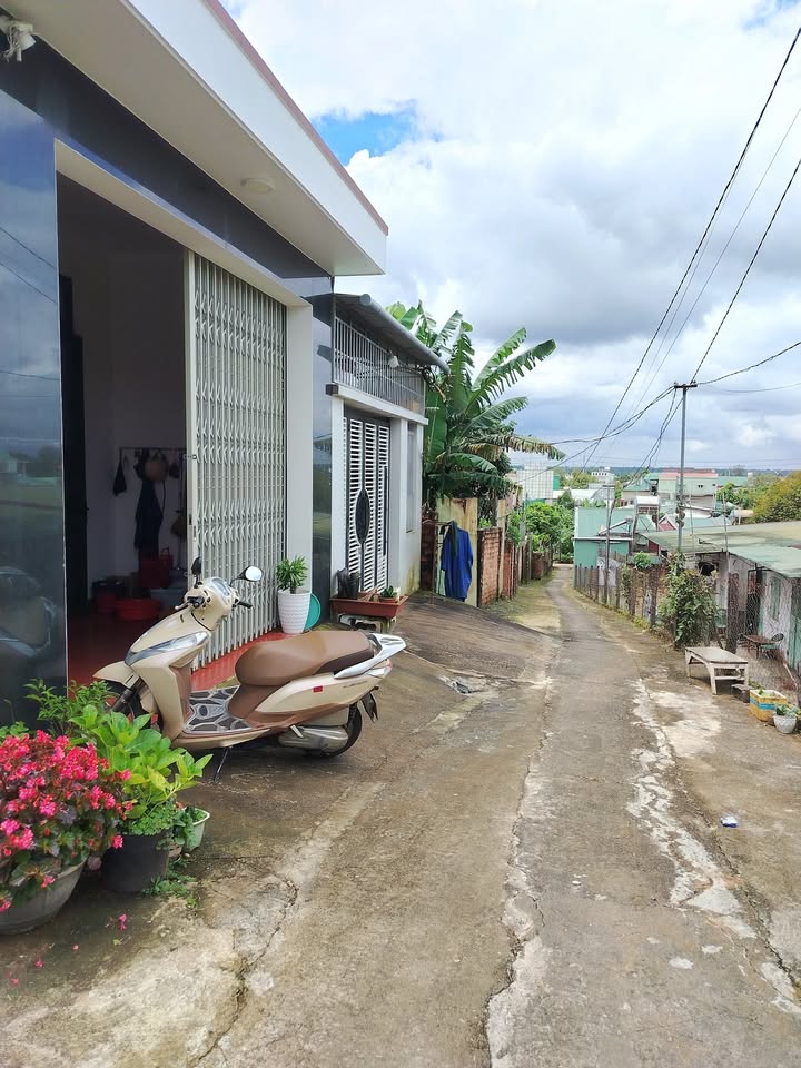 Đất nền Thống Nhất, Pleiku 100m² giá 600 triệu - Đầu tư sinh lời ngay!