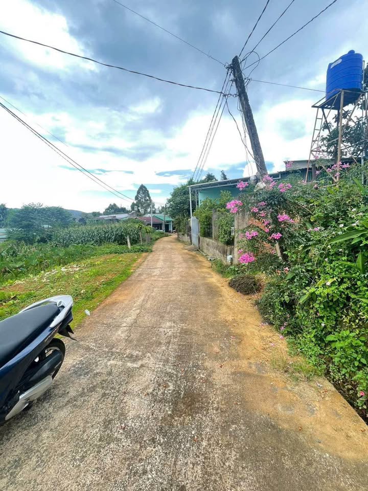 Đất thổ cư 204m² tại phường 3 Đại Lào, Bảo Lộc - Giá 1.45 tỷ, đầu tư sinh lời cao!