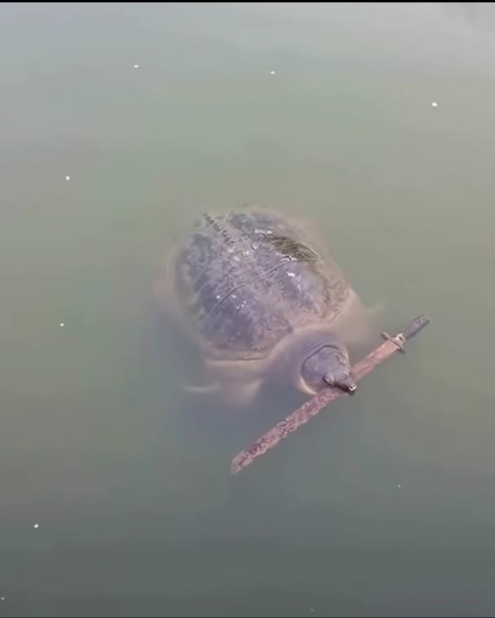 Biệt thự liền kề Đặng Xá, Gia Lâm 132m² giá 22 triệu - Kinh doanh sầm uất, đầy đủ tiện nghi!