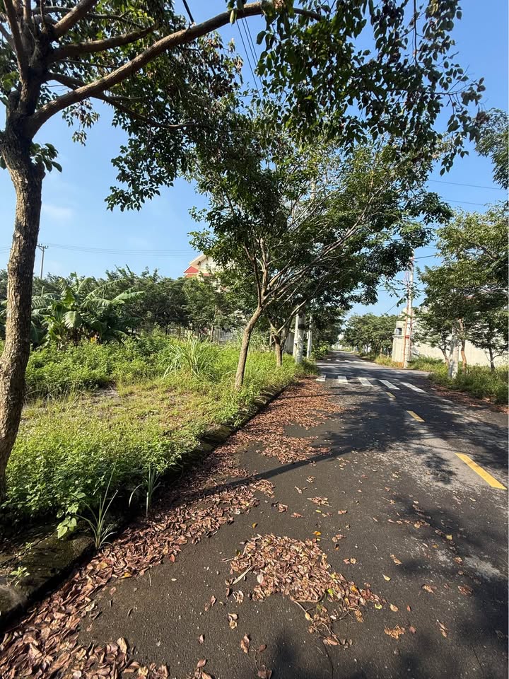 Bán đất Đầm Sen, Thiên Sơn, 85m² giá 4 tỷ - Mặt tiền 5m, vị trí đắc địa!