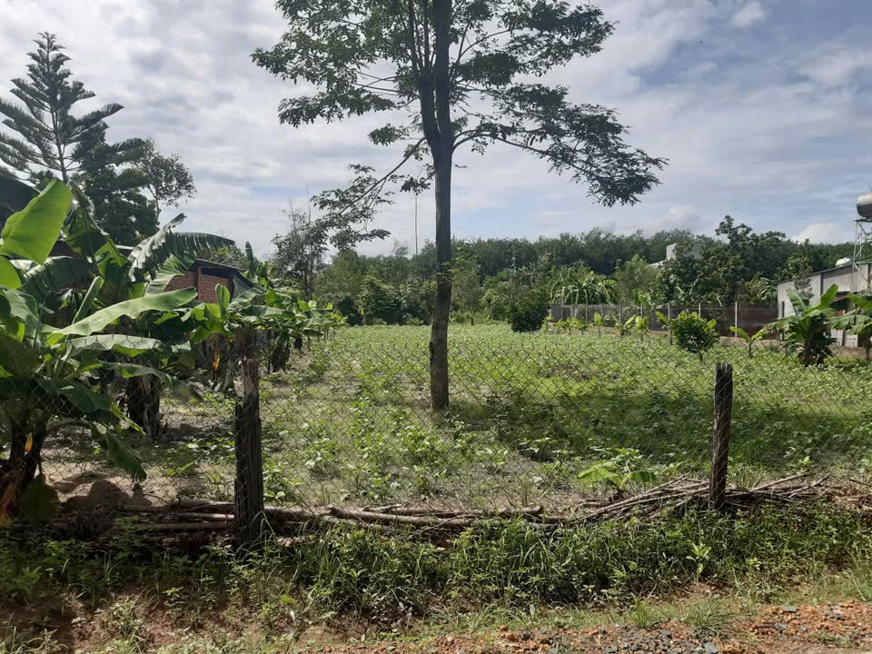 Đất nền Dầu Tiếng 1340m² giá 3.3 tỷ - Sổ hồng chính chủ, thương lượng tốt!