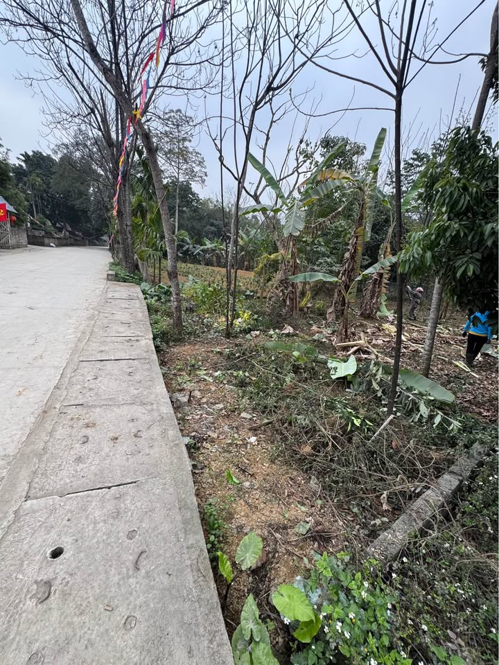 Đất nền Lộc Môn, Lương Sơn 341m² giá thỏa thuận - Cơ hội đầu tư tiềm năng!