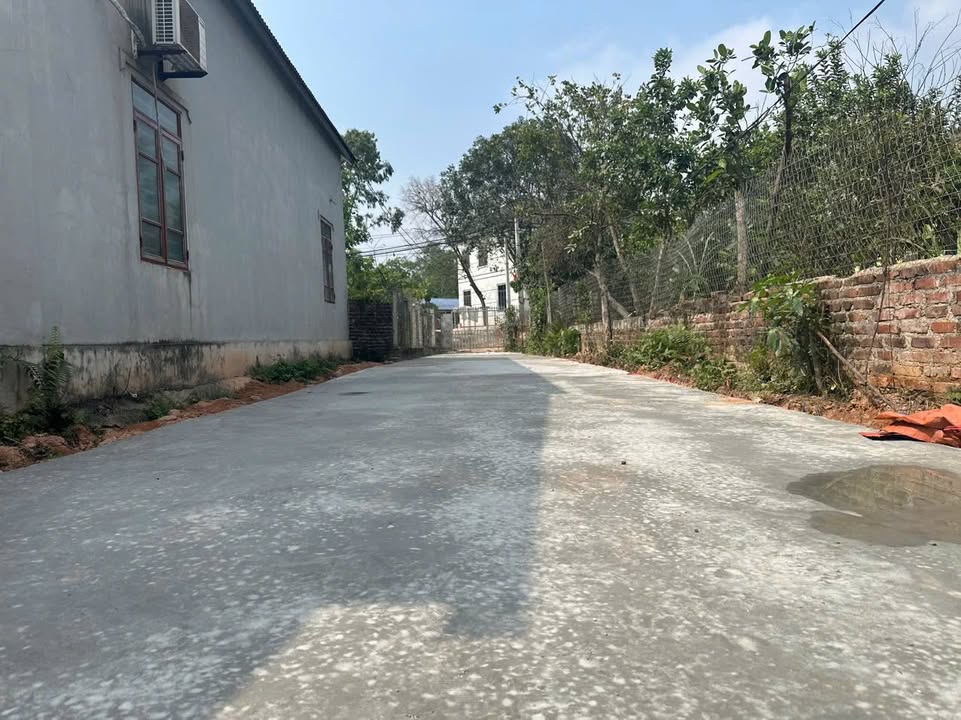 Đất thổ cư 1500m² tại Tân Khánh Phú Bình giá chỉ 1 tỷ - Cơ hội đầu tư tuyệt vời!