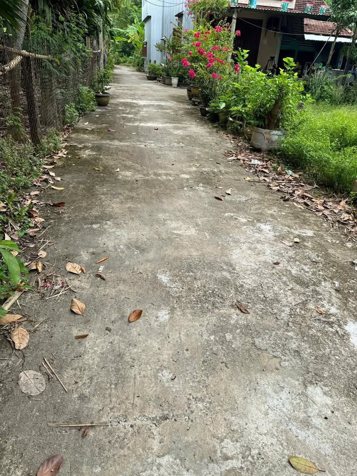 Đất nền Hòa Phong Đà Nẵng 130m² giá 1.17 tỷ - Gần trung tâm hành chính!