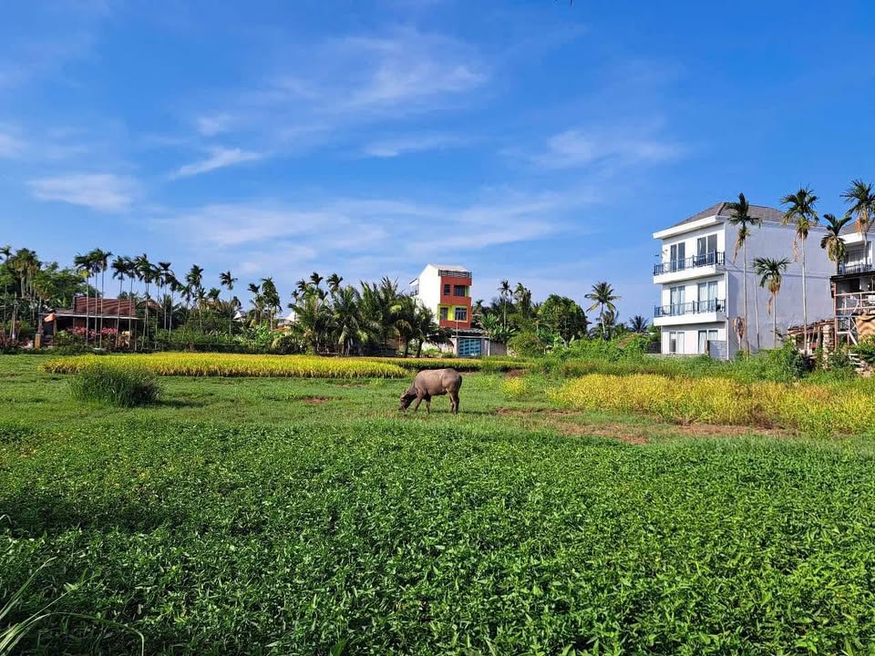 Đất nền Cẩm Châu, Hội An 575m² giá 14 tỷ - Đầu tư villa nghỉ dưỡng lý tưởng!