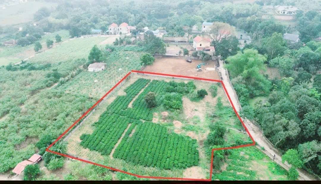 Đất nền Liên Sơn Lương Sơn 4700m² giá 14.1 tỷ - Mặt tiền 50m bám đường lớn