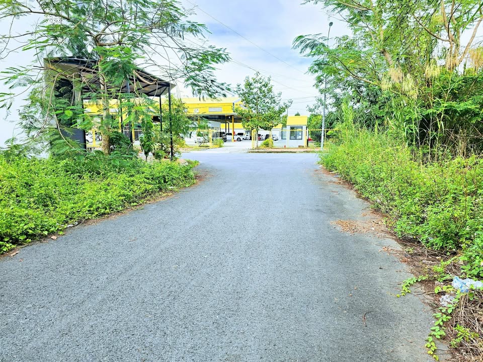 Đất nền 62m² đường B12 KDC Phú An, Cần Thơ giá 2.05 tỷ - Sổ hồng thổ cư