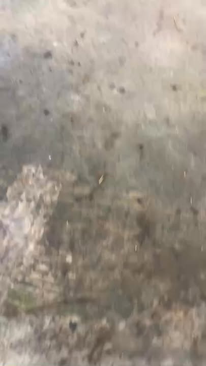 Đất nền xóm 4, xã Hưng Nghĩa, Hưng Nguyên 250m² giá 1 tỷ - Cơ hội đầu tư hấp dẫn!