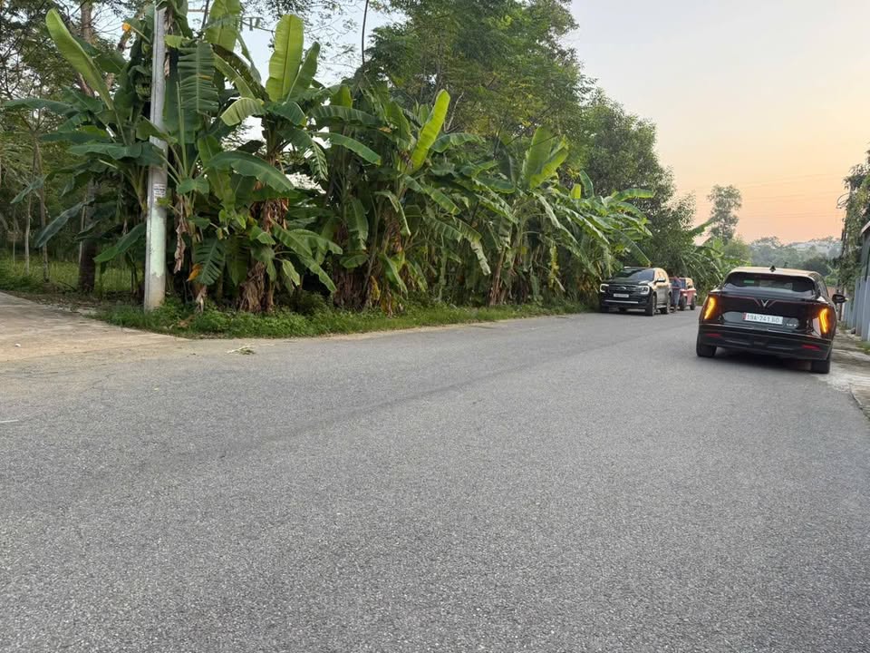 Đất nền Kim Đức Việt Trì 50m² giá 1.2 tỷ - Đầu tư sinh lời tuyệt vời!