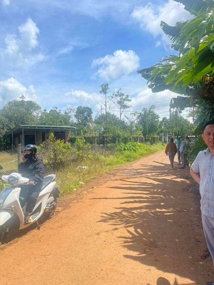 Lô đất Farm Đắk Nông 4ha giá 6,5 tỷ - Đầu tư sinh lời hấp dẫn!