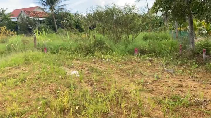 Đất nền Ninh Quang, Ninh Hòa 153m² giá chỉ 5xx triệu - Sổ hồng chính chủ!